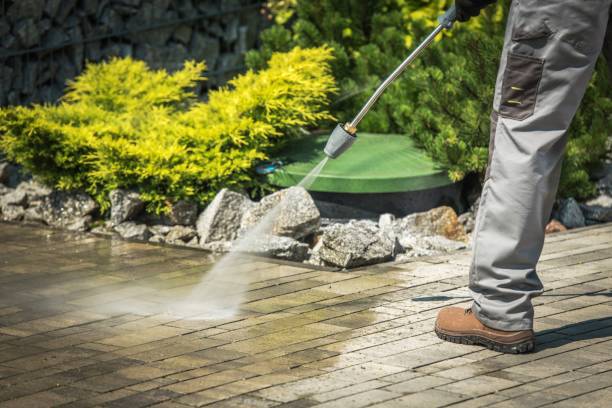 Best Solar Panel Cleaning  in Schererville, IN